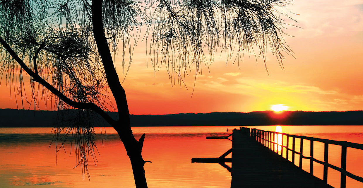 Once Upon An Evening