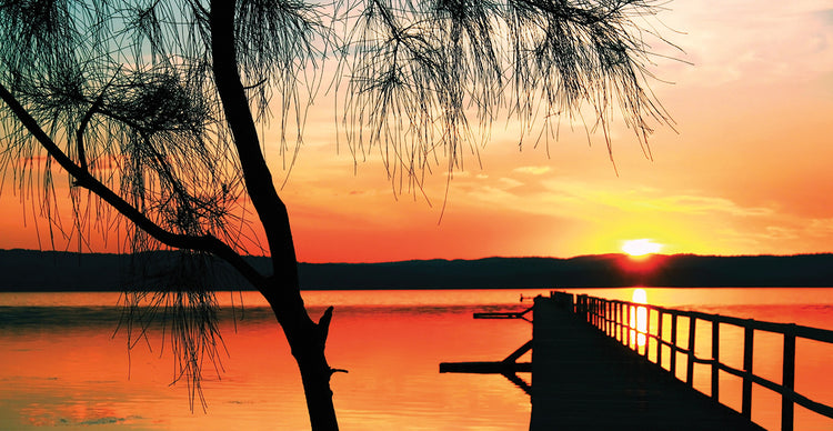 Once Upon An Evening