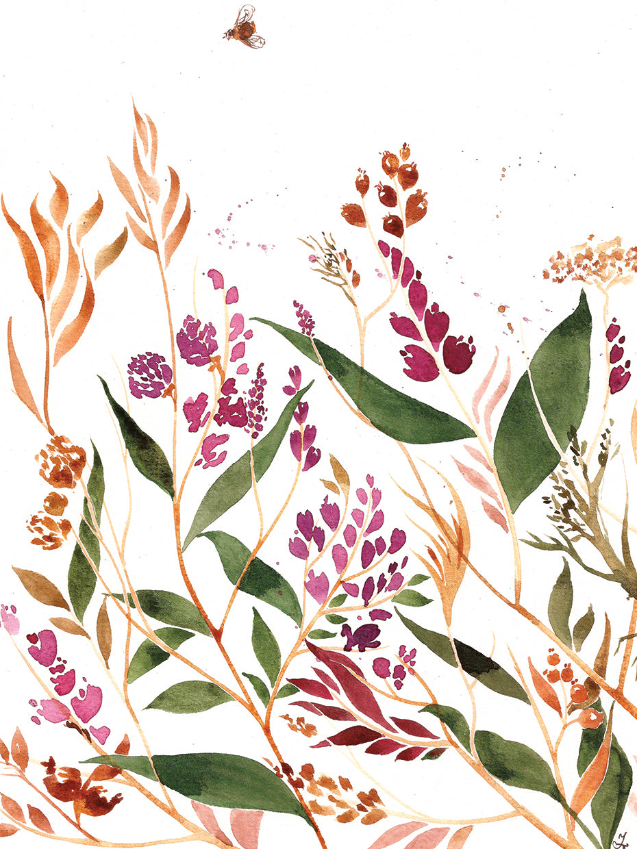 Meadow II