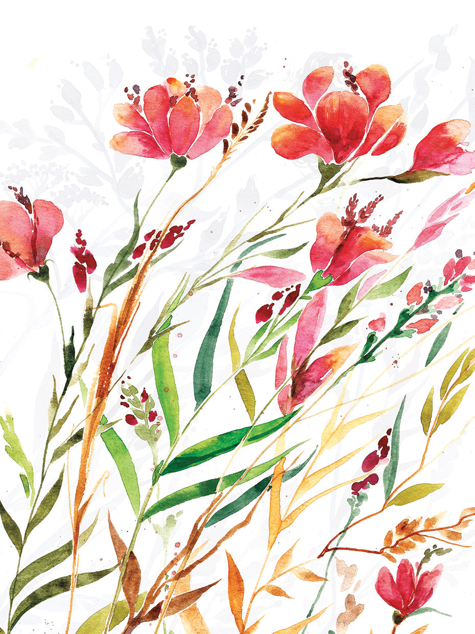 Meadow III