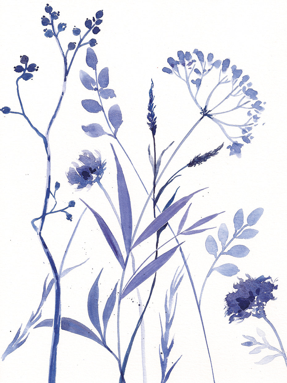 Meadow V
