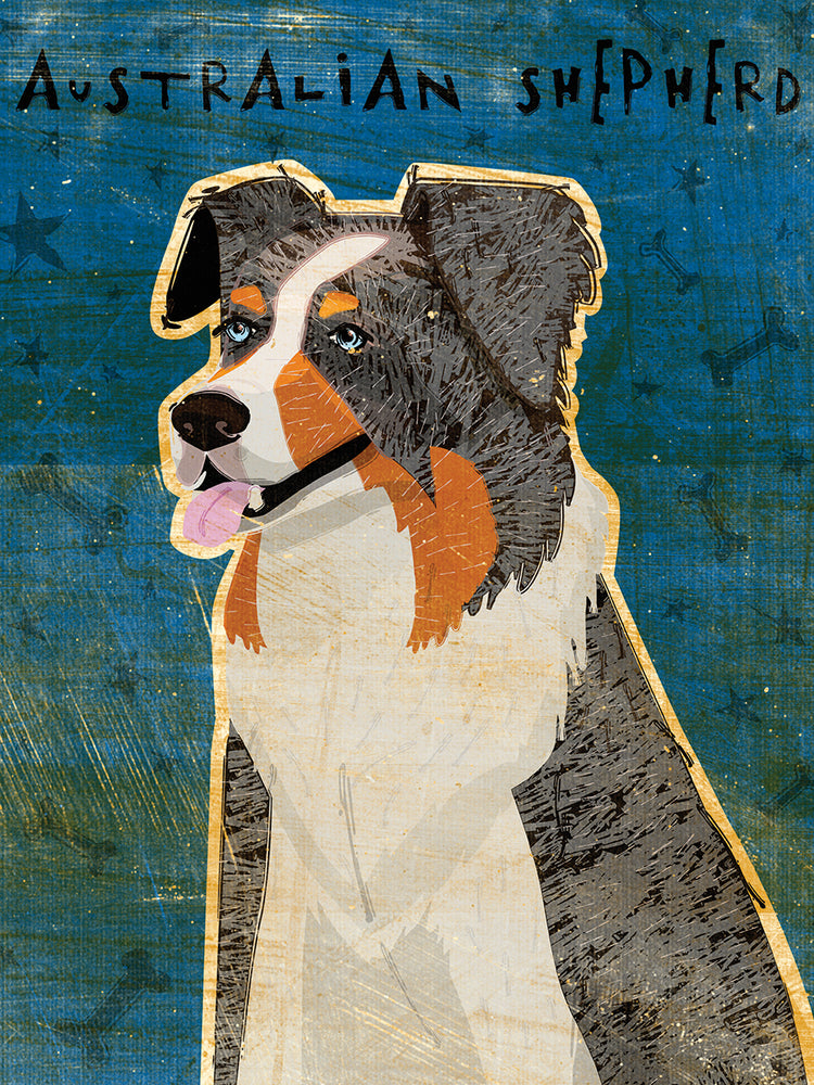 Pastor Australiano Blue Merle Lienzo