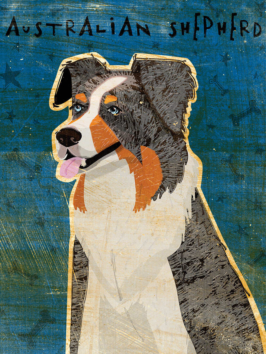 Pastor Australiano Blue Merle Lienzo