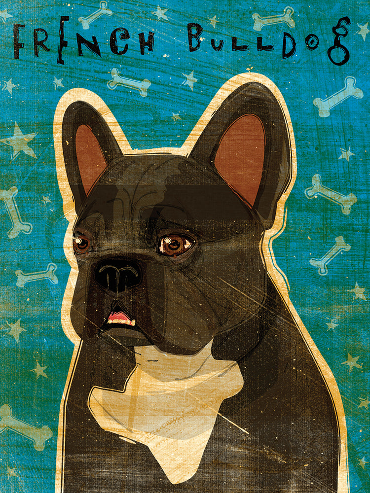 French French Bulldog - Black Brindle and White
