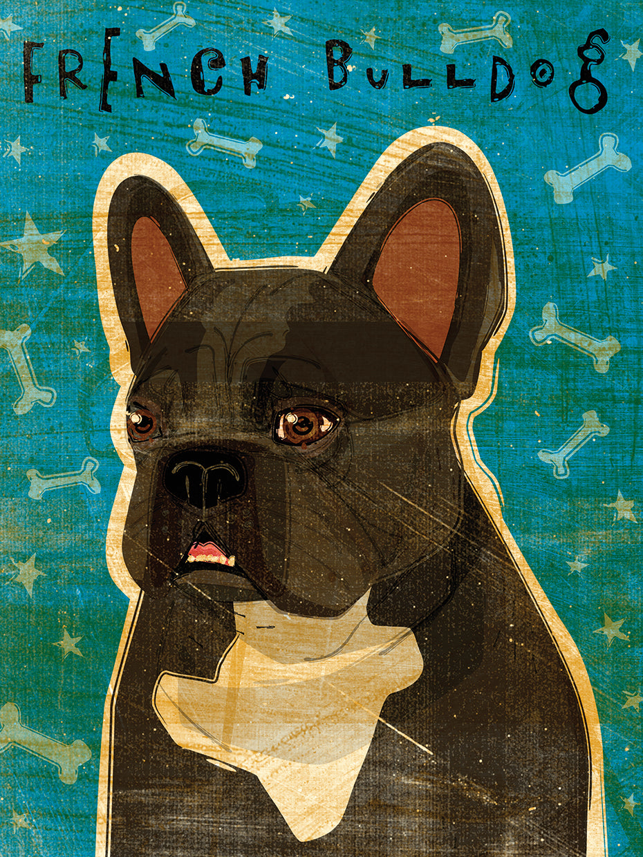 French French Bulldog - Black Brindle and White