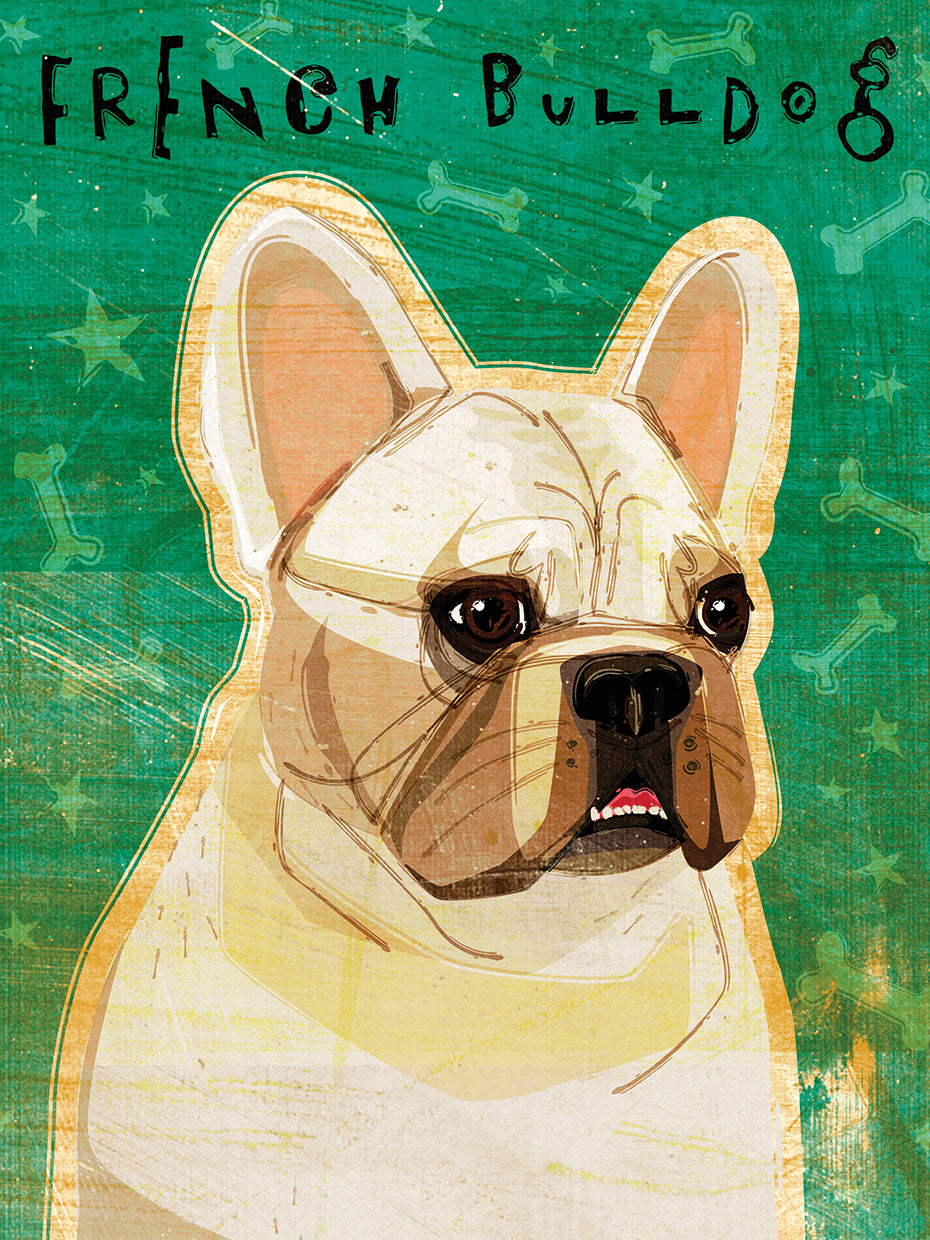 Bulldog Francés - Blanco Lienzo