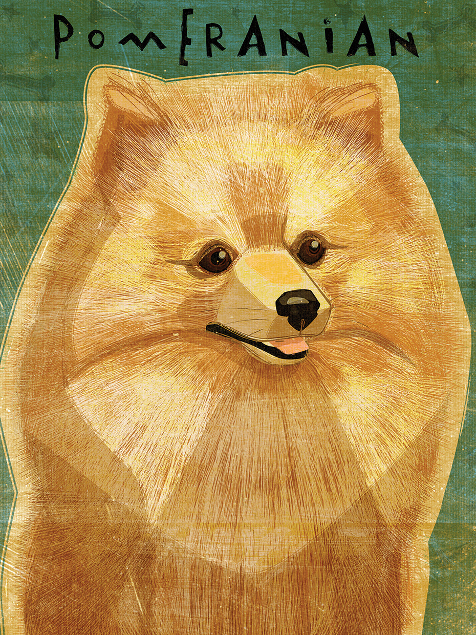 Pomerania Lienzo
