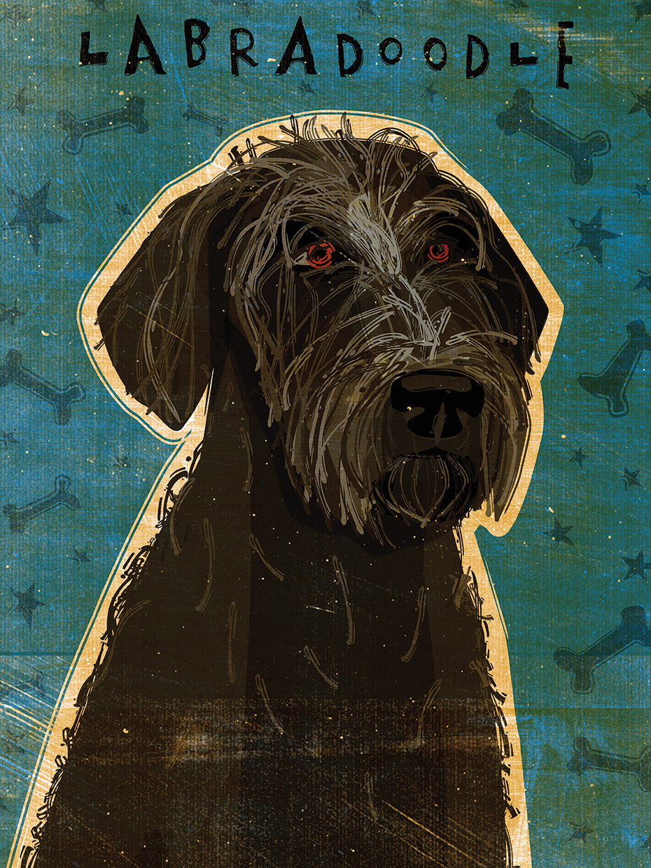 Labradoodle negro Lienzo