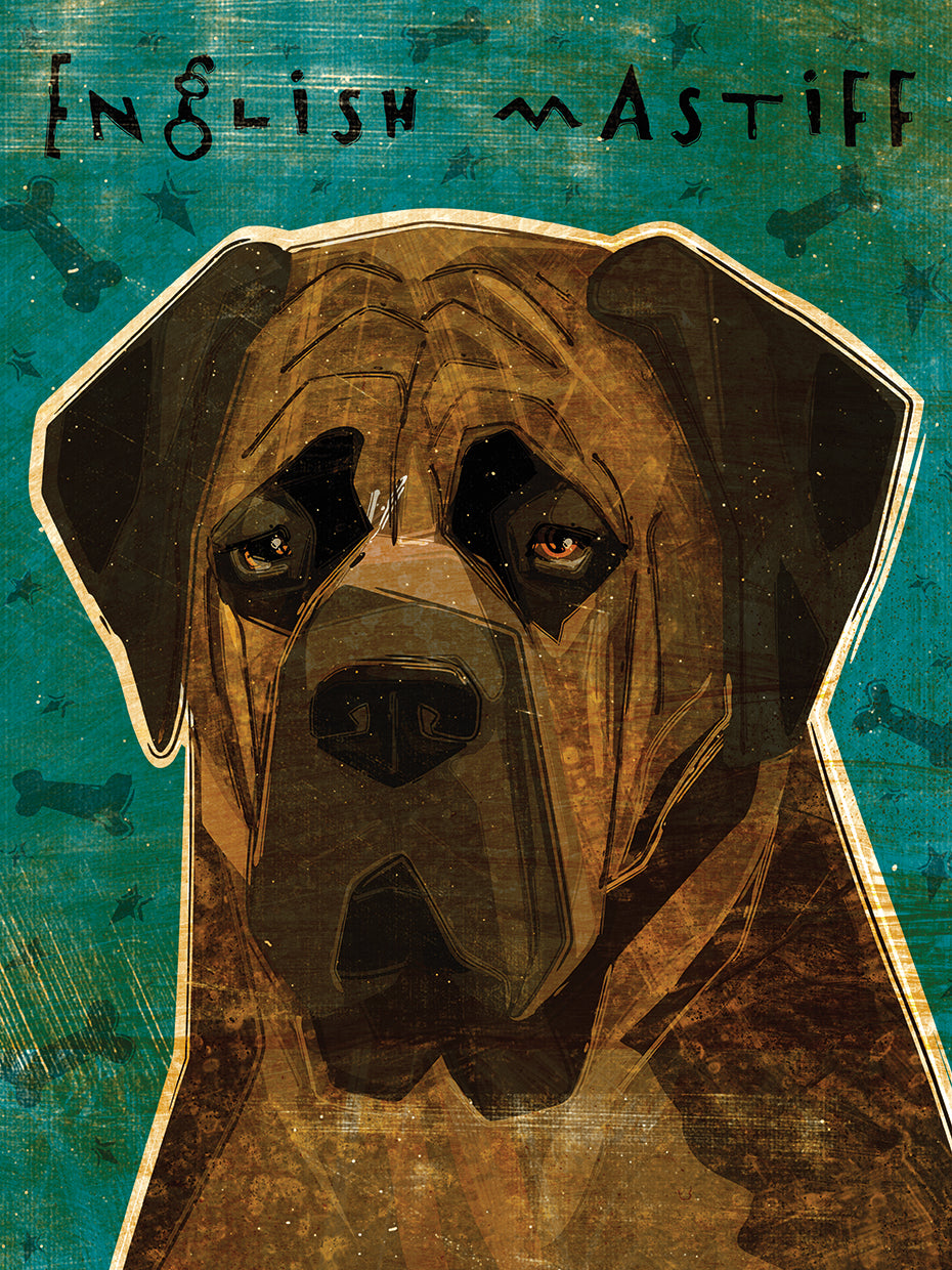 English Mastiff - Brindle