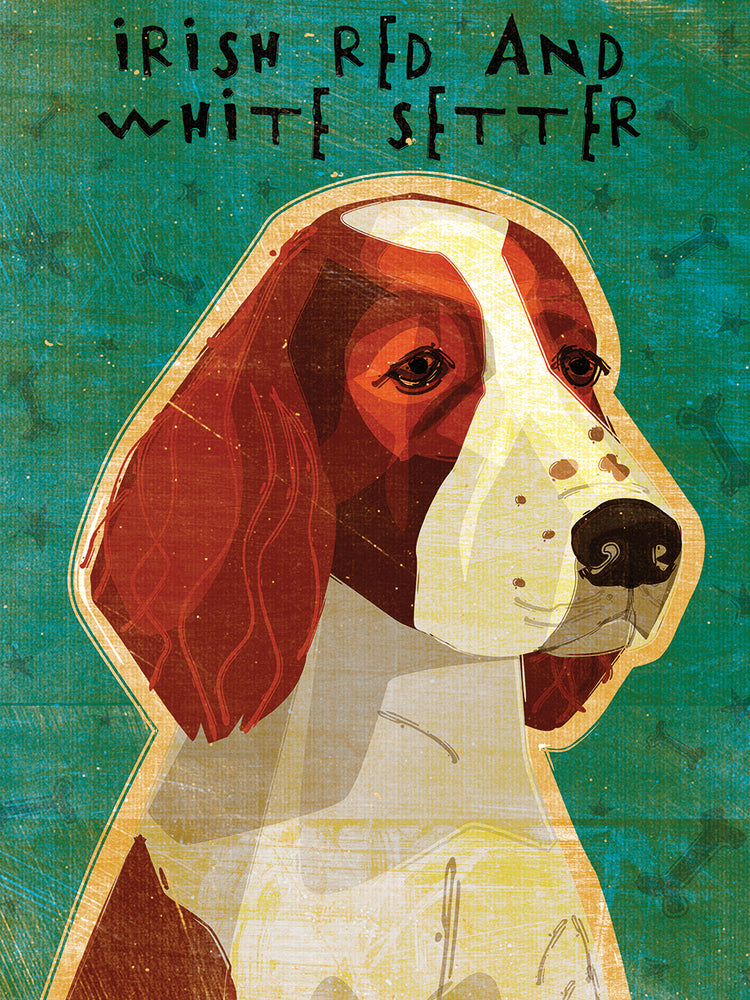 Setter irlandés rojo y blanco Lienzo
