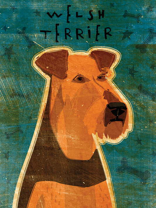 Welsh Terrier Canvas Print
