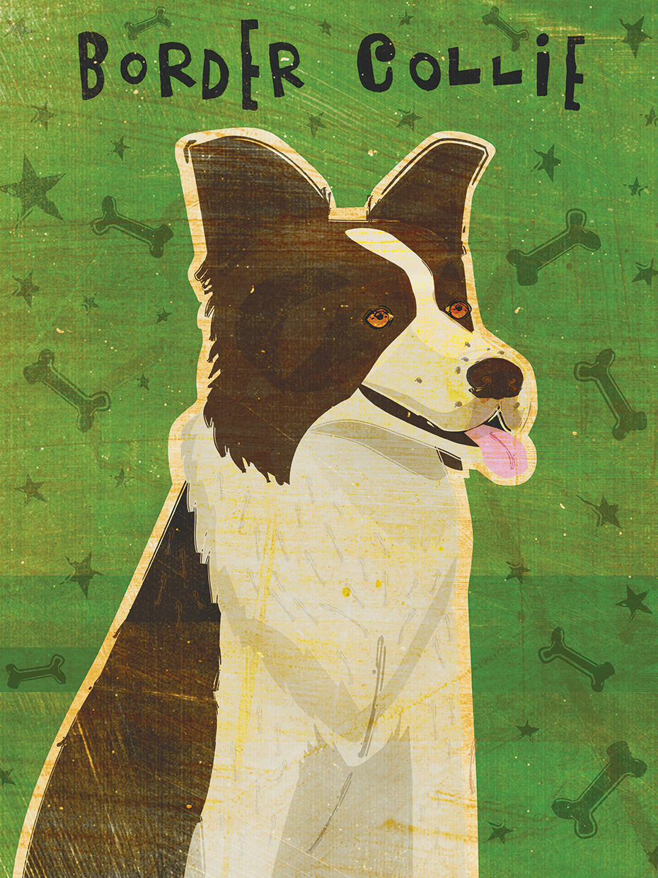 collie de frontera Lienzo
