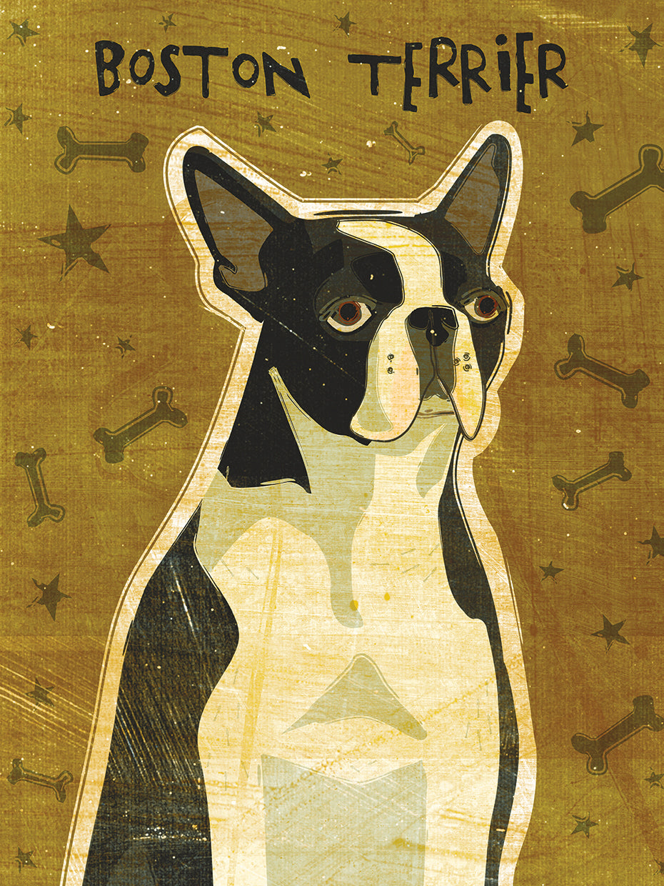 boston terrier Lienzo