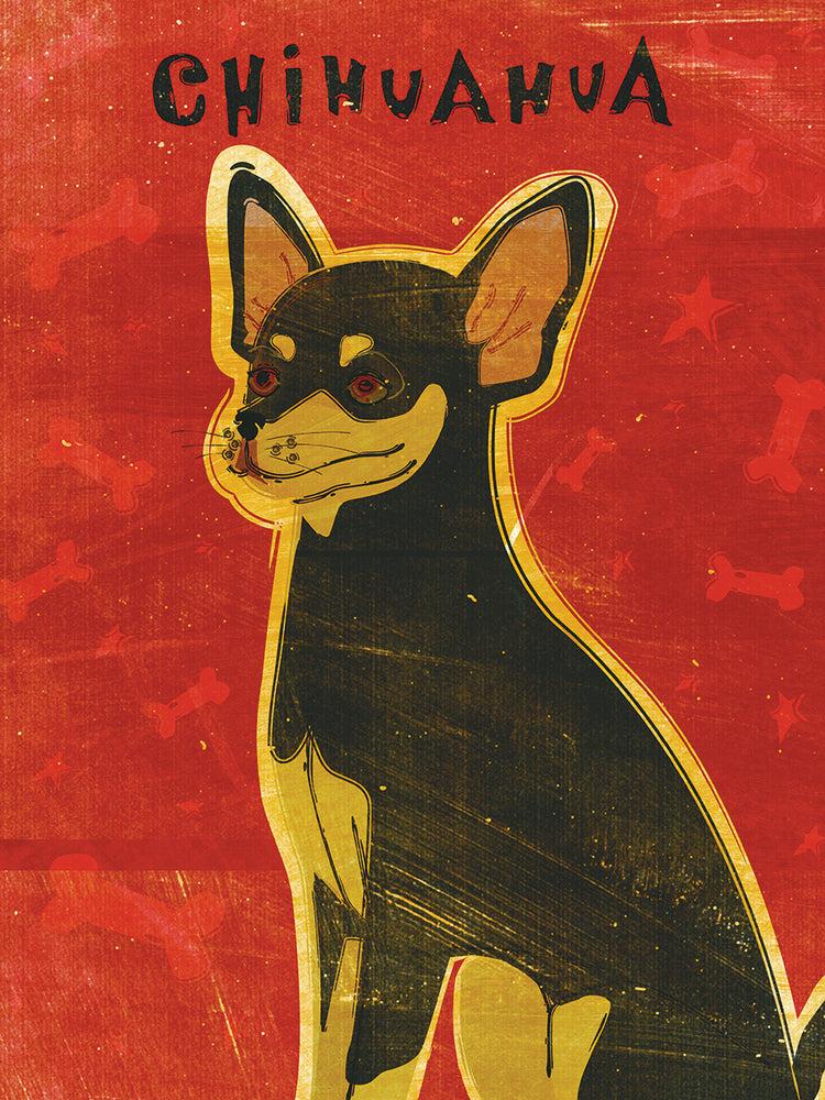 Chihuahua (black and tan)