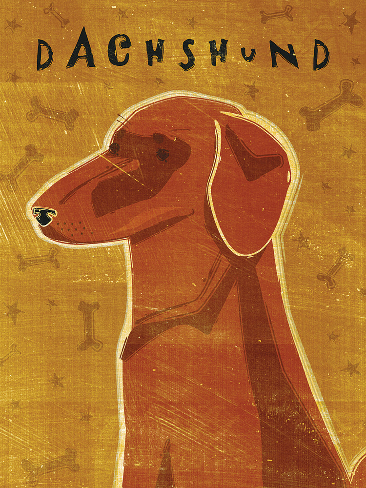 Dachshund (rojo) Lienzo