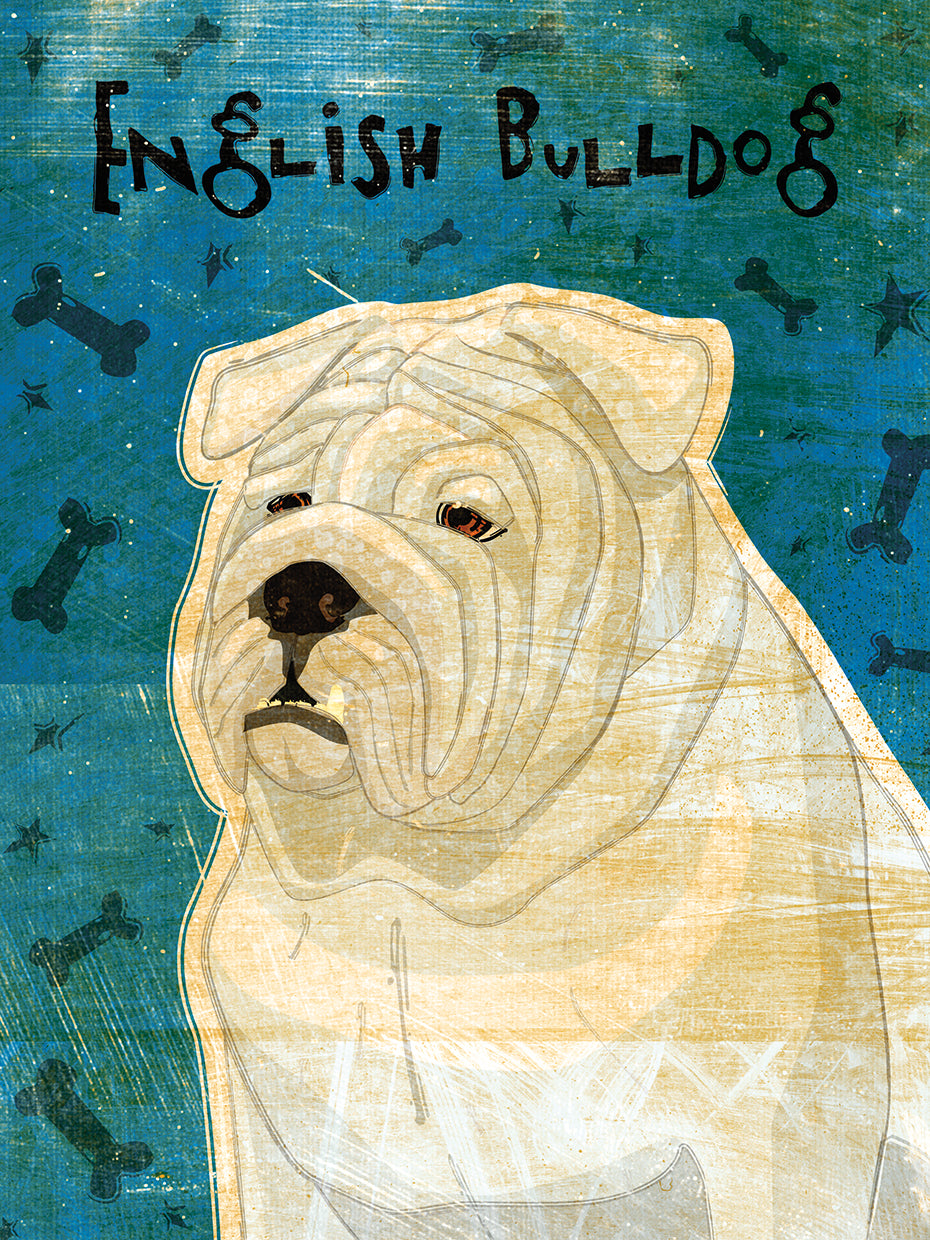 English Bulldog