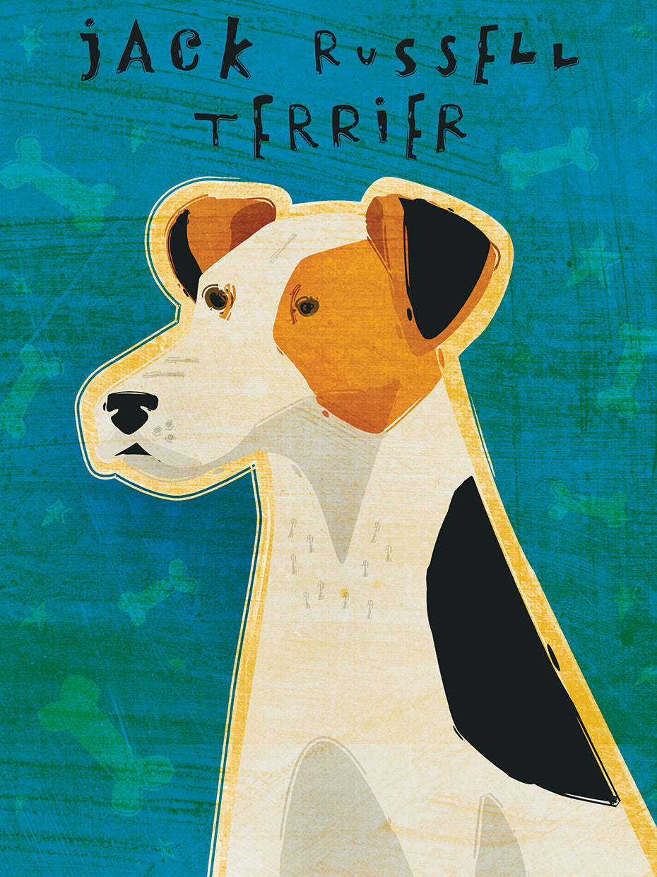 Jack Russell Terrier