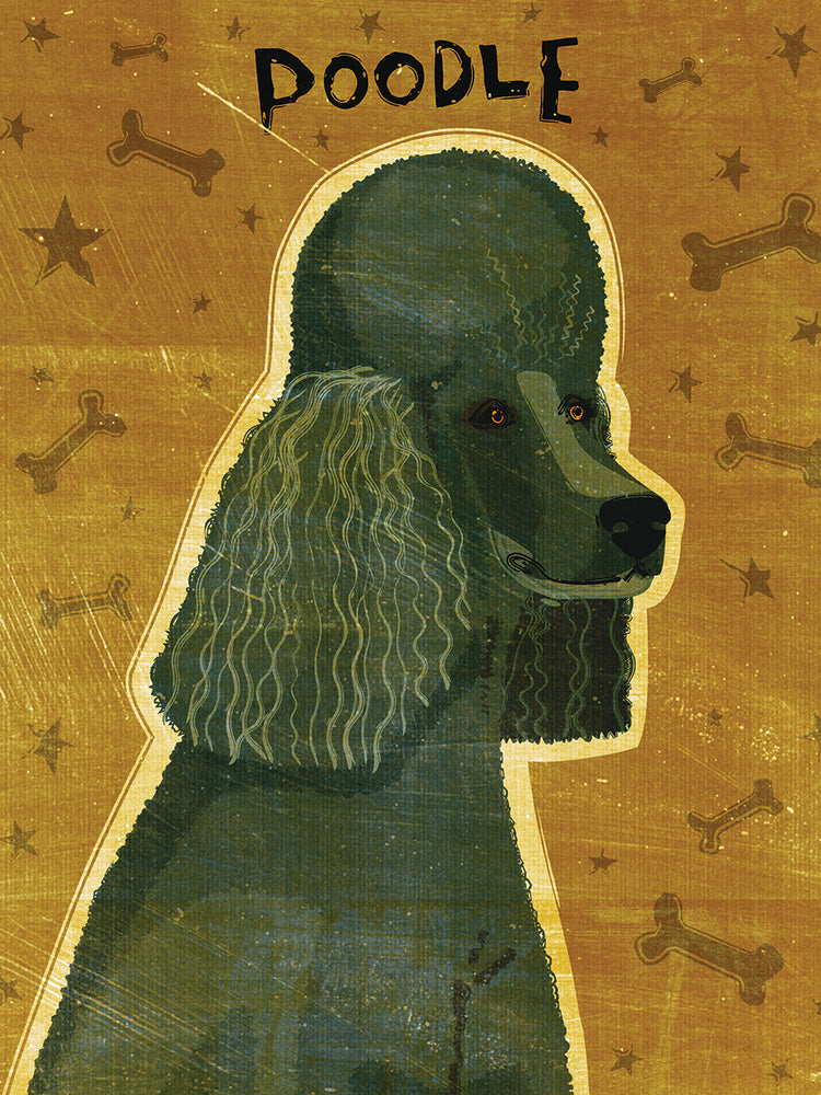 Caniche (negro) Lienzo