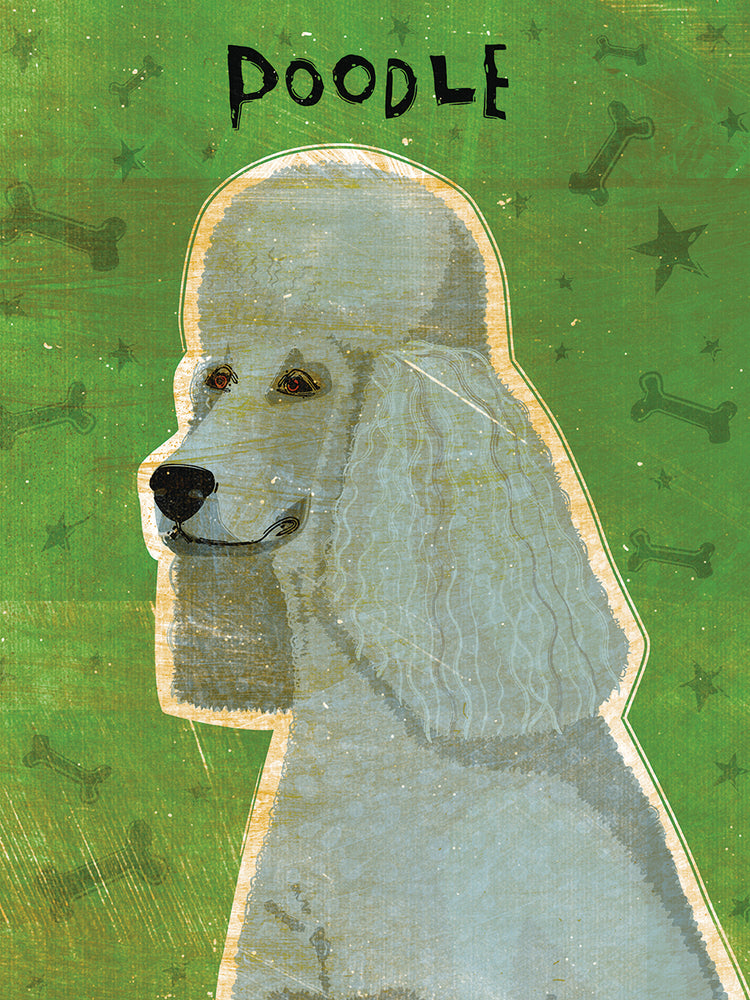 Caniche (gris) Lienzo
