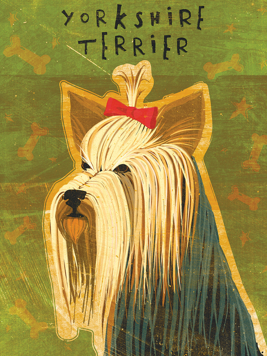 Yorkshire terrier Lienzo