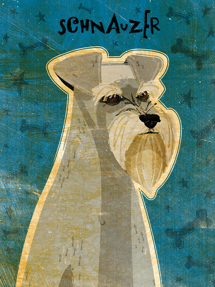 Schnauzer Lienzo