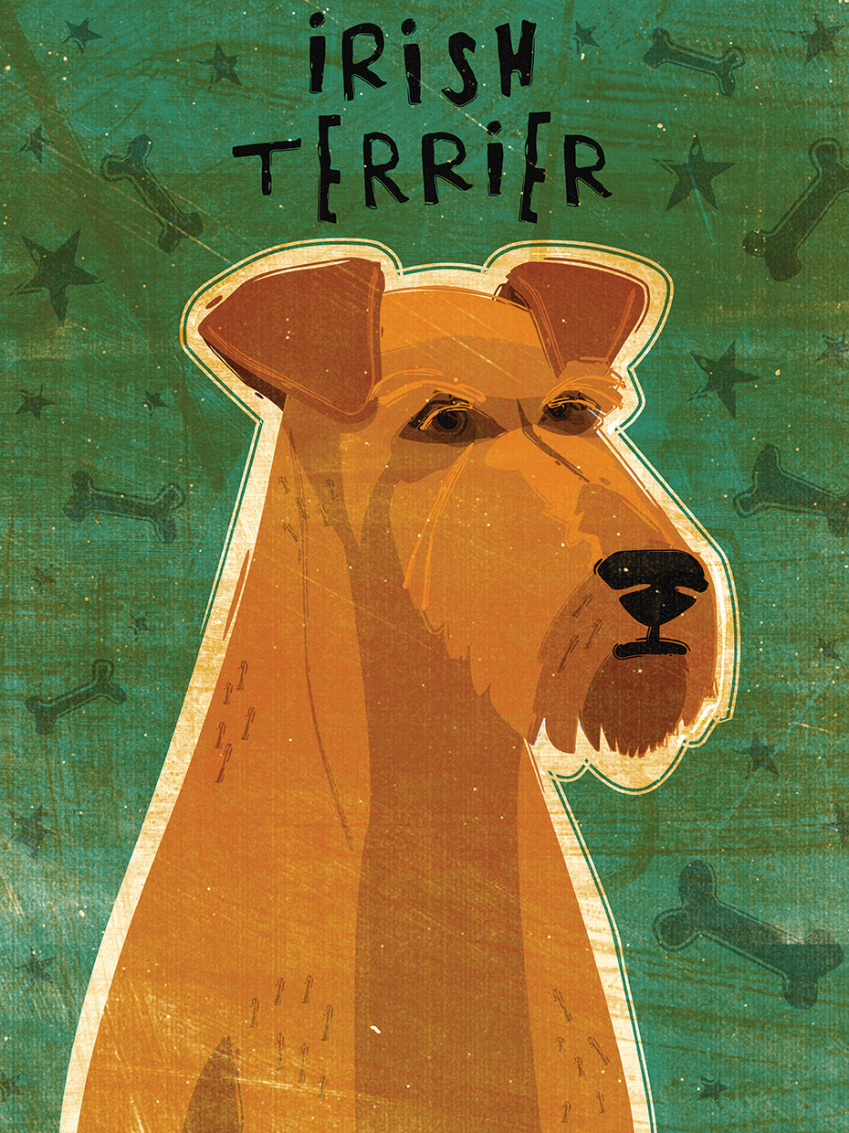 Terrier irlandés Lienzo