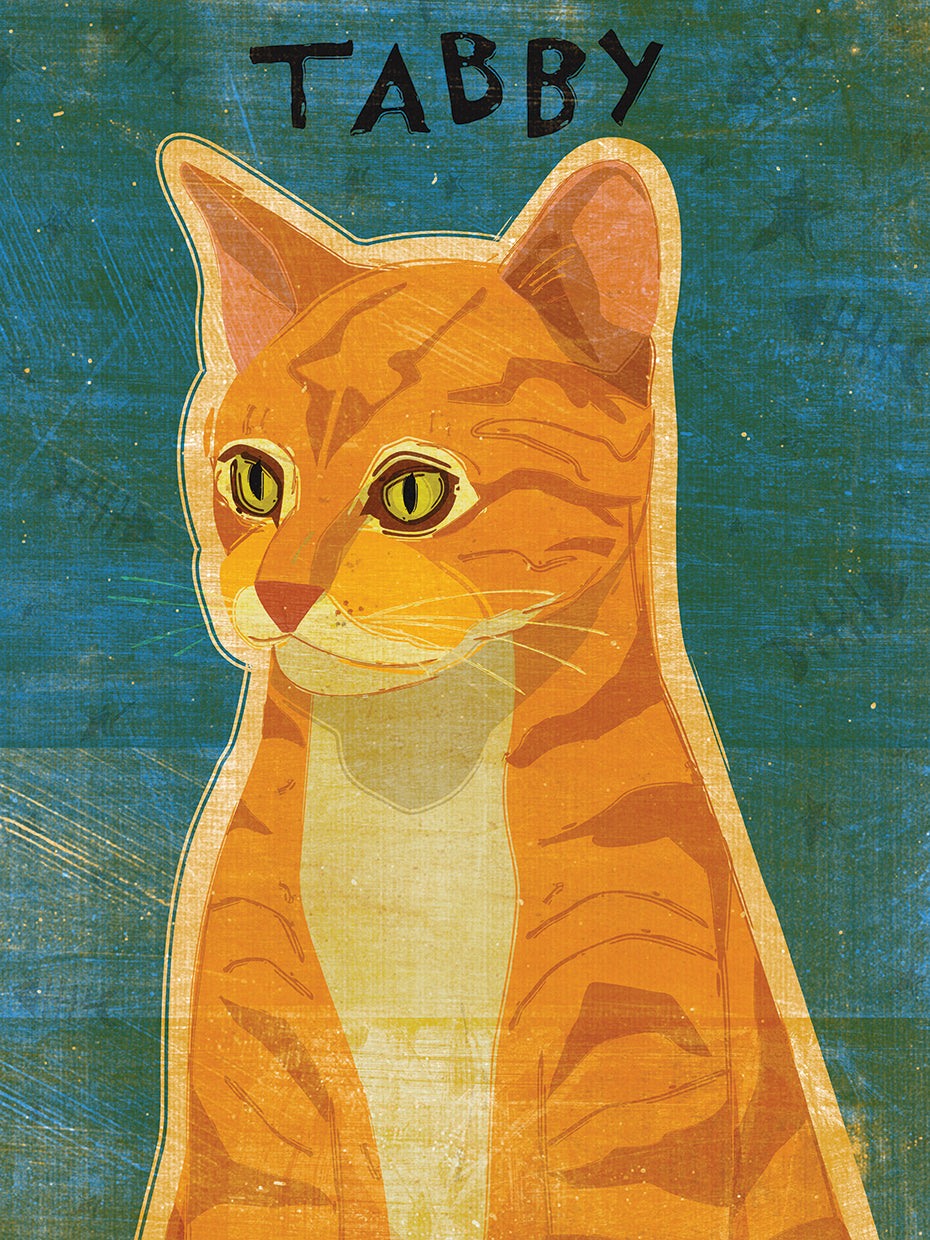 Tabby (naranja) Lienzo