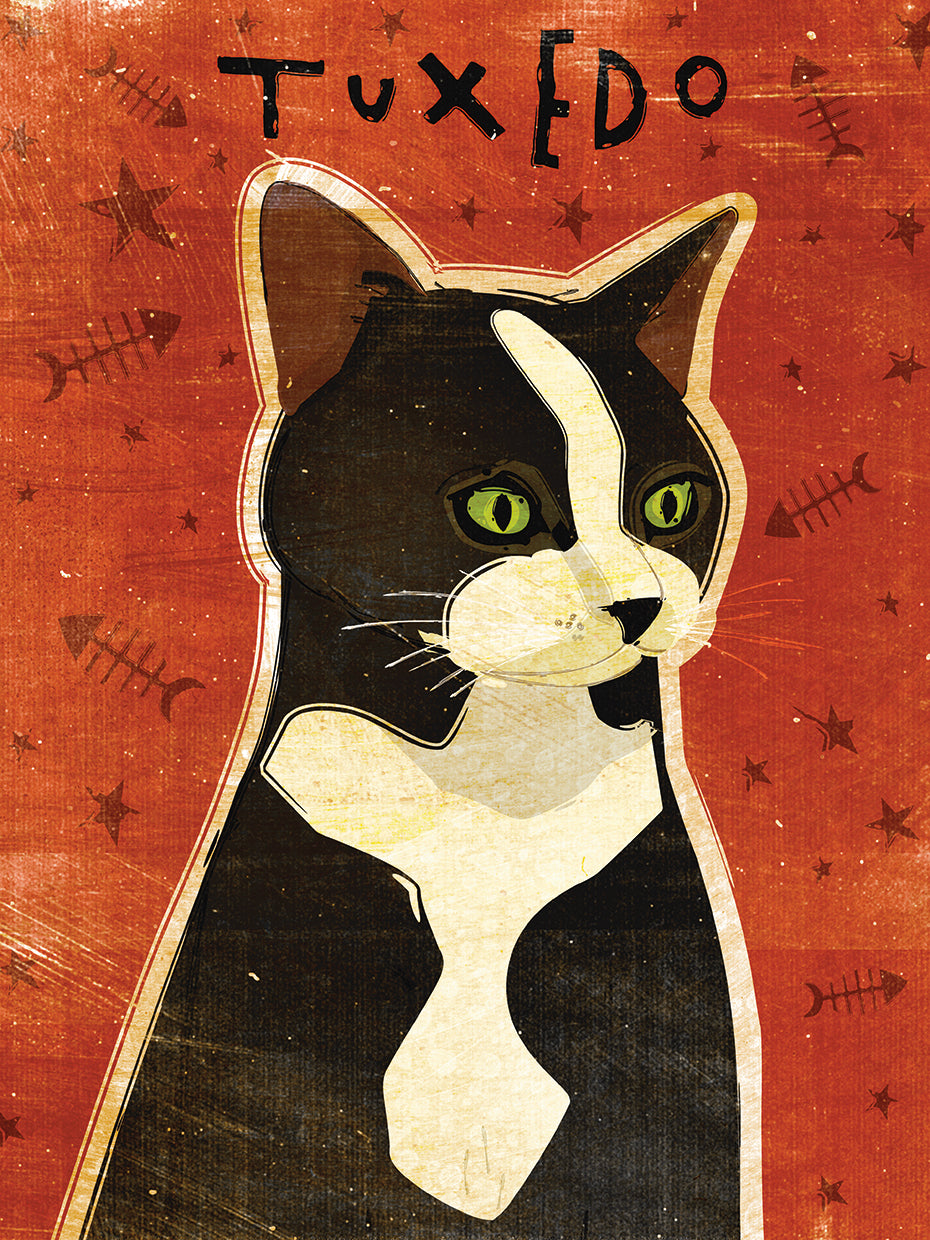 Esmoquin Lienzo