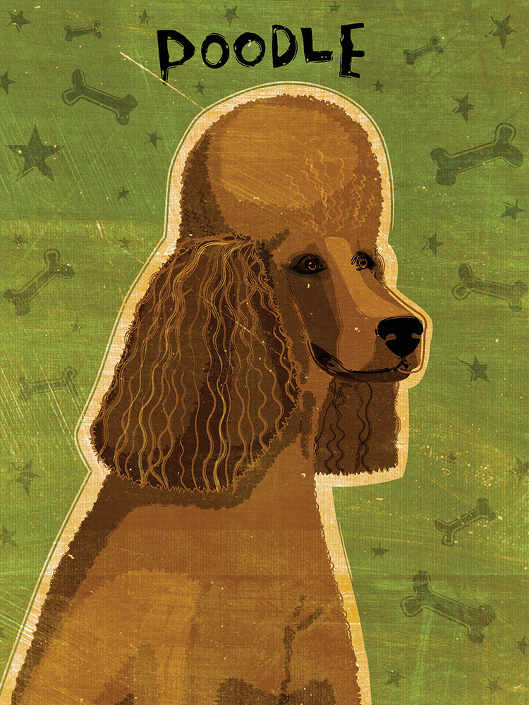 Caniche (marrón) Lienzo