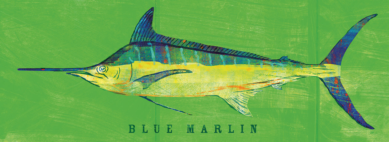 Blue Marlin