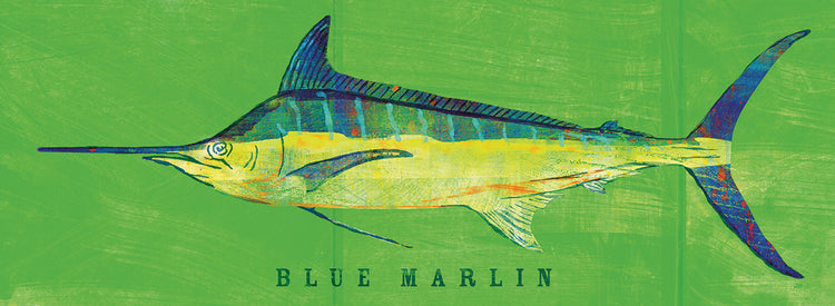 Blue Marlin