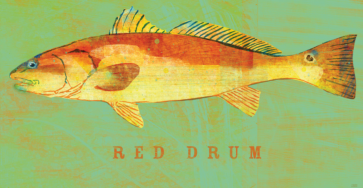 Red Drum