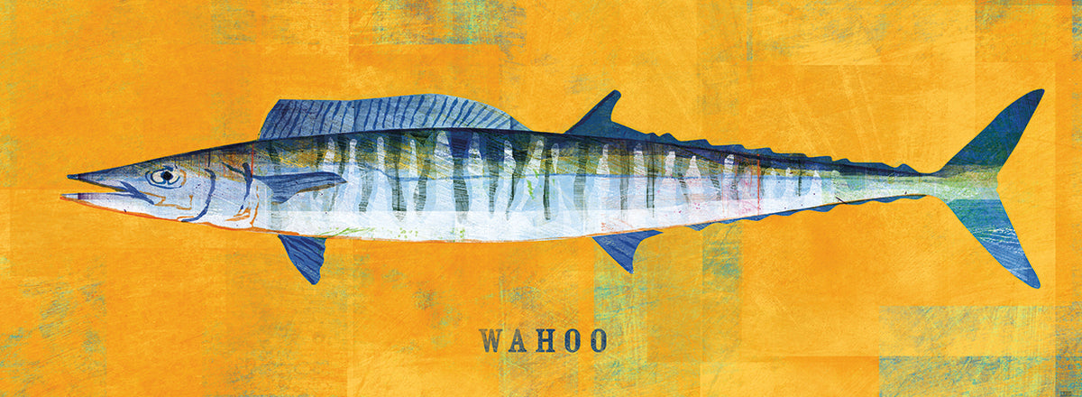 Waho