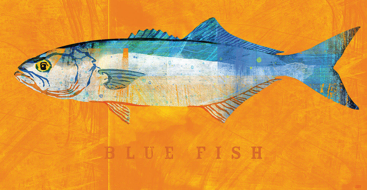 Bluefish