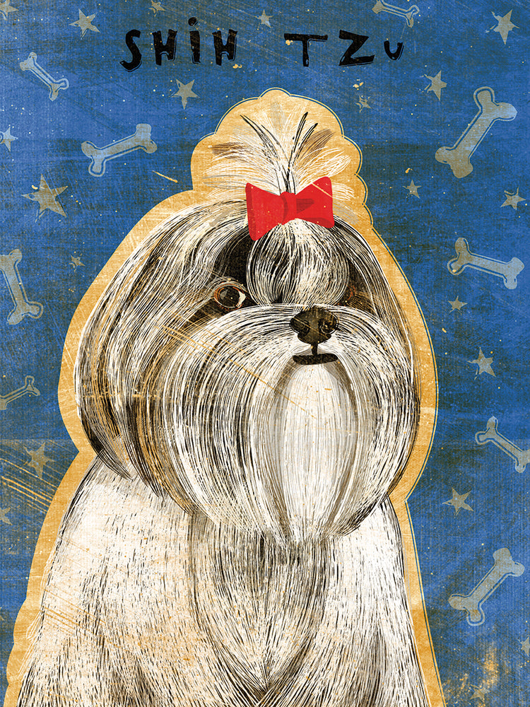 Shih Tzu