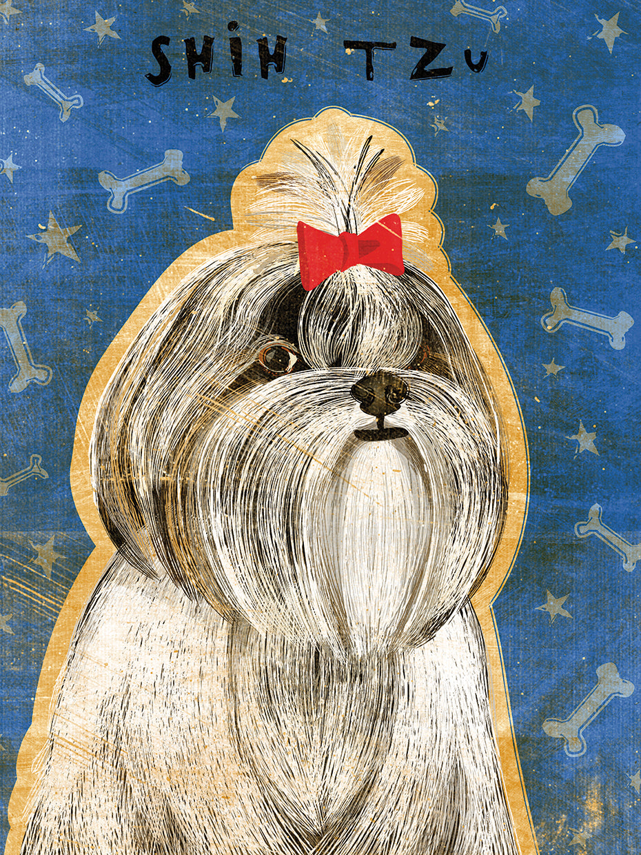 Shih Tzu