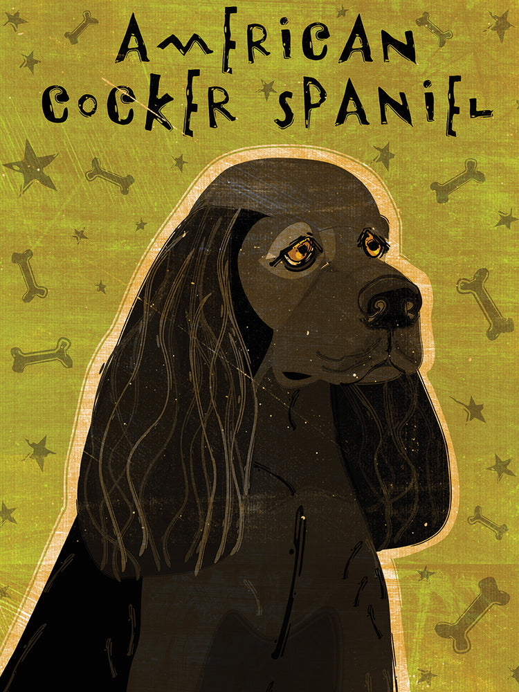 American Cocker Spaniel (black)