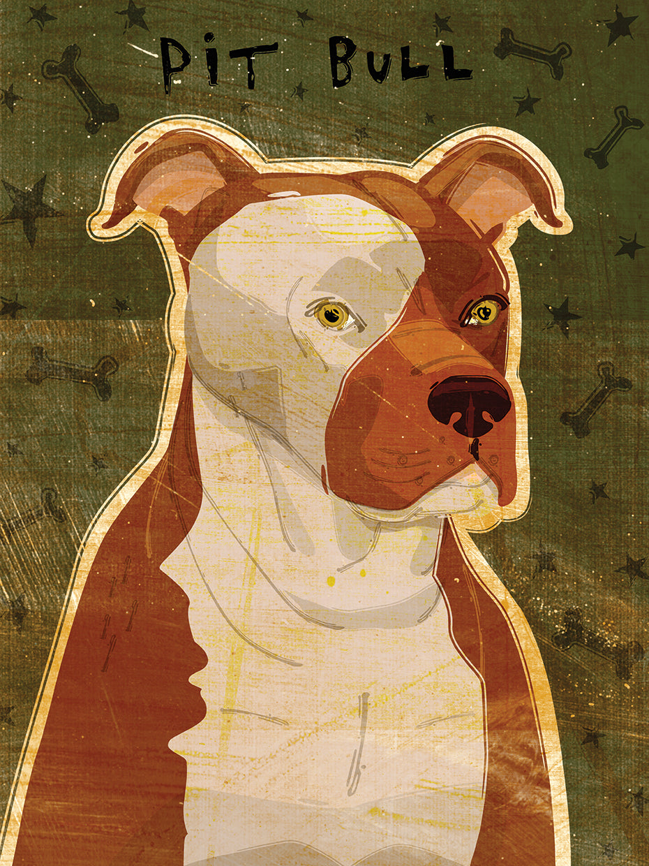 Pit Bull