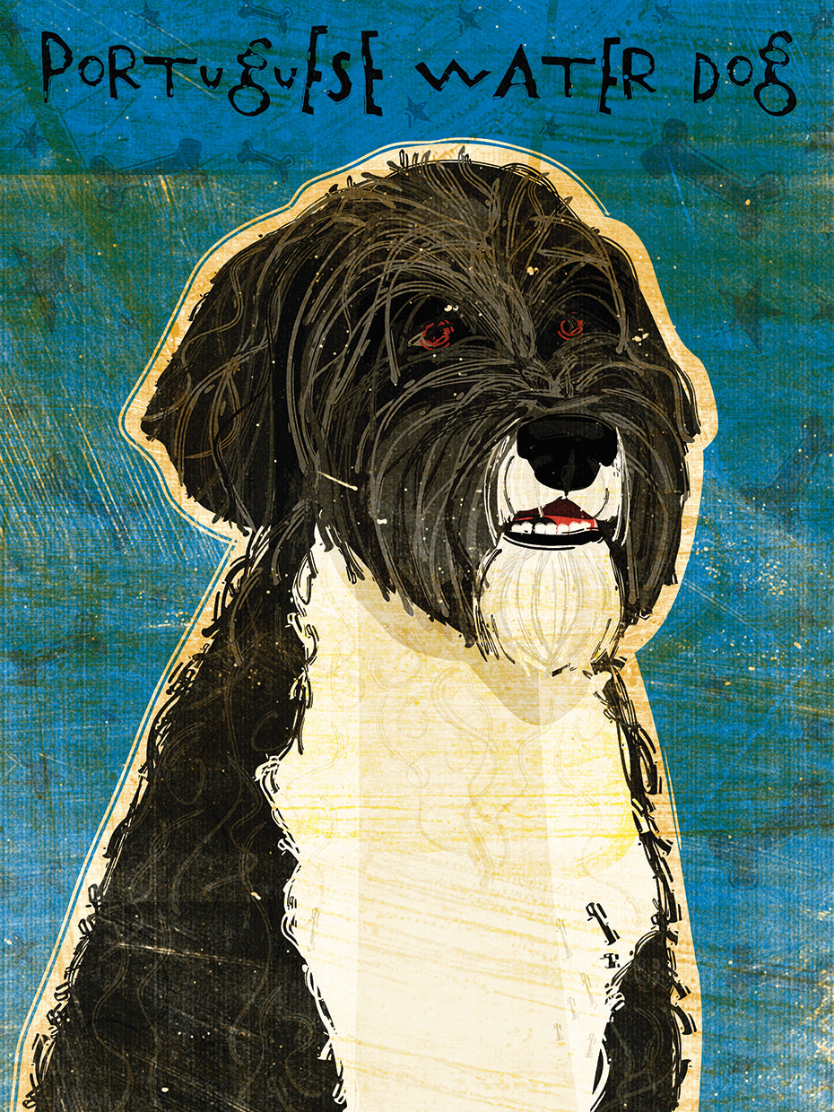 Portuguese Water Dog