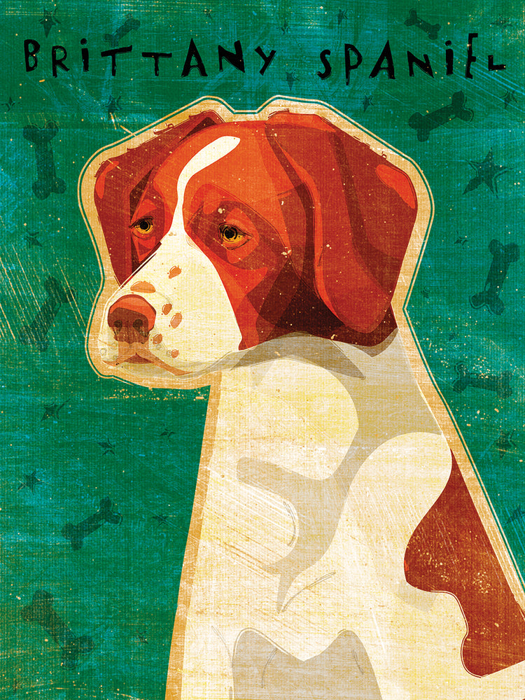 Perro de aguas de Bretaña Lienzo