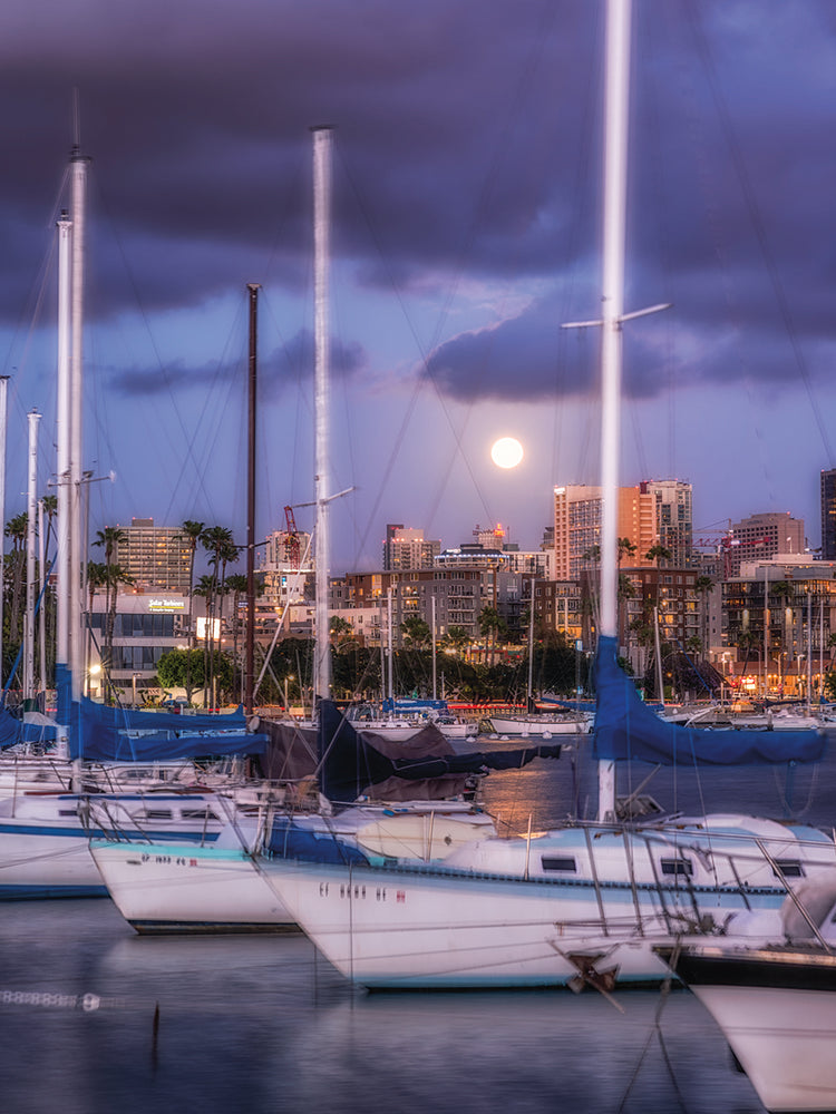 Harbor Moon