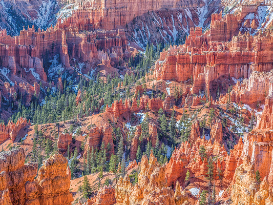 Bryce Canyon Beauty Canvas Art