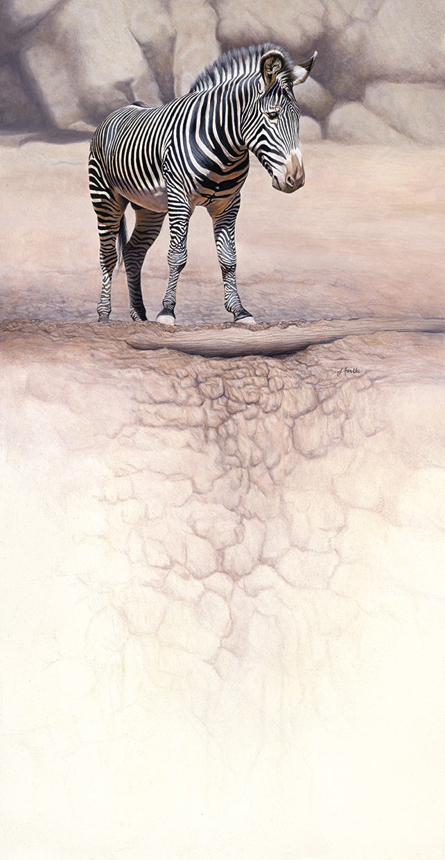 on-the-edge-judith-hartke
