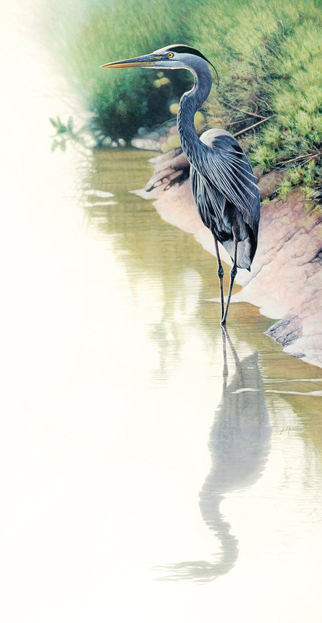 reflections-of-blue-judith-hartke