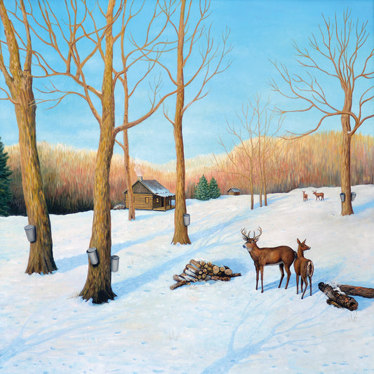 Winter Cabin Canvas Print