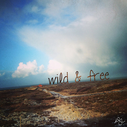 Wild And Free 2