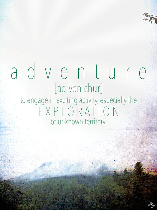 Adventure Definition