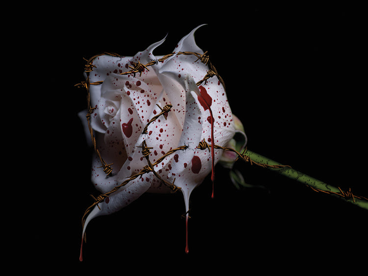 Bleeding Rose