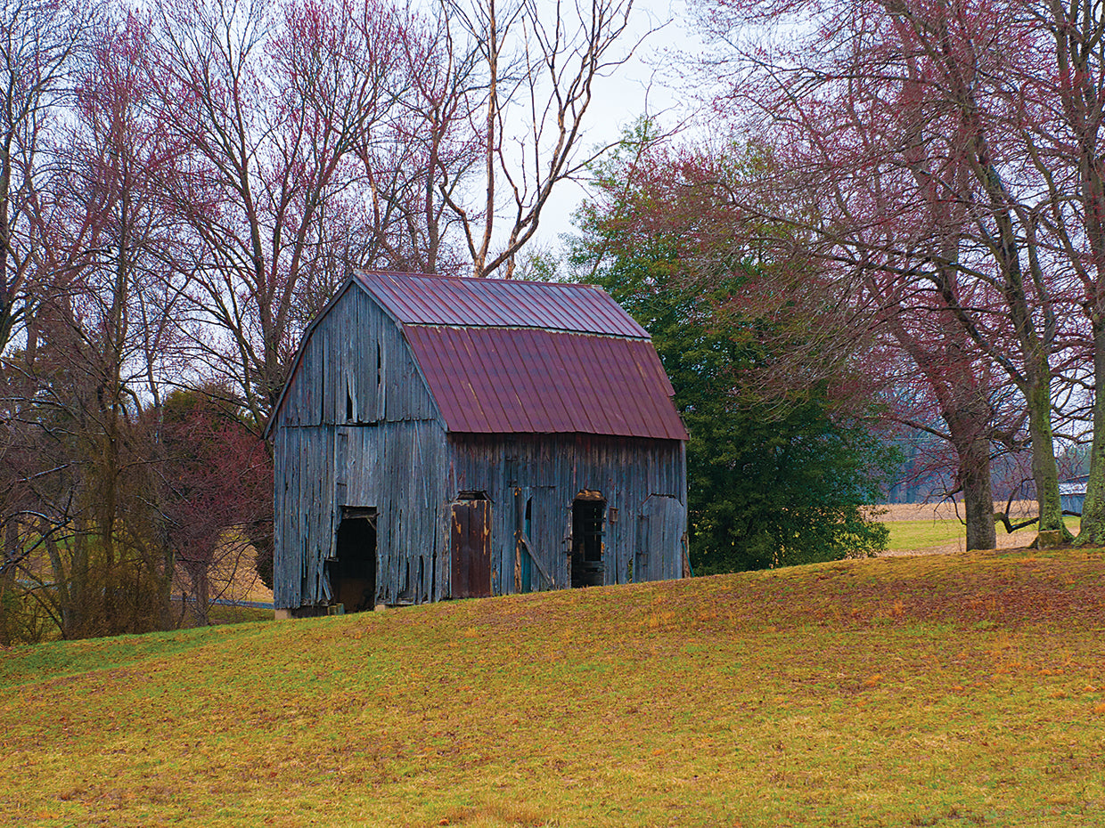 Abandon Barn