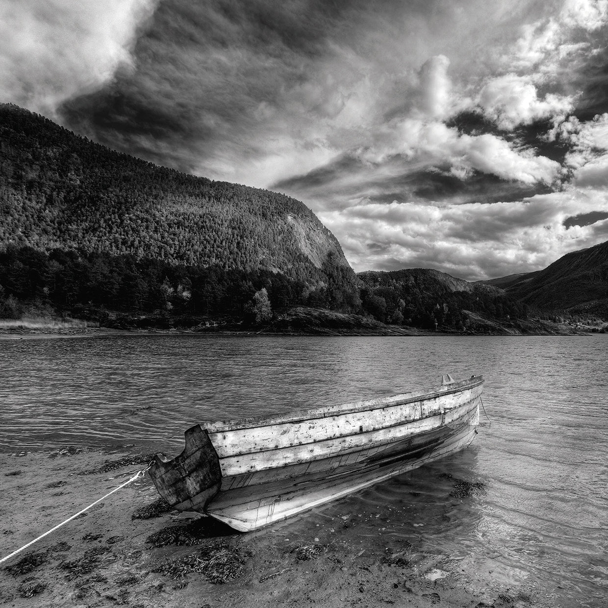 Norway # 19